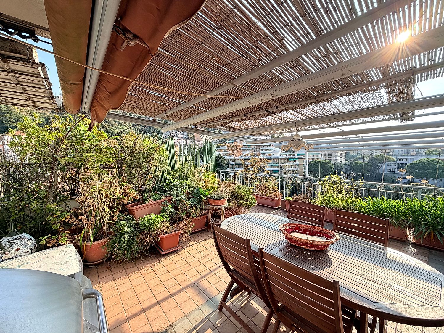 /uploads/w1500/IMG_6513.b4996939 15dd 44cd 970b f96a7d3dbe0d.jpeg IMG_6513