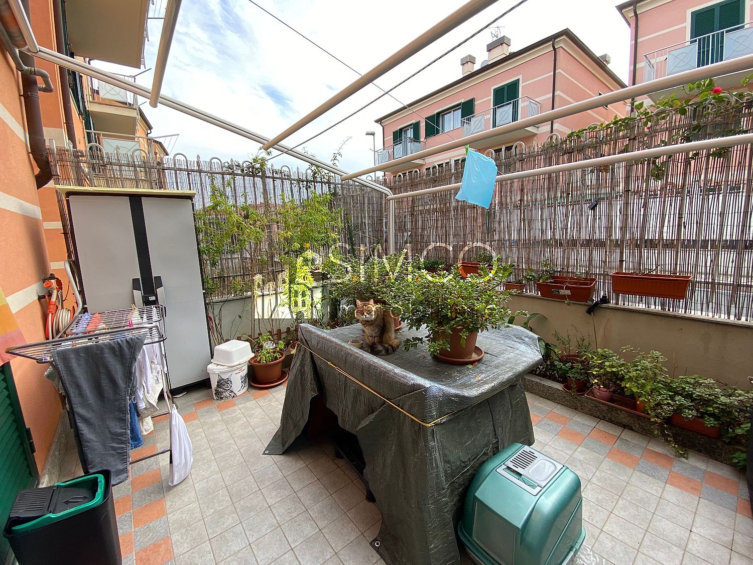/uploads/w1500/simco agenzia immobiliare .savonaappartamentopianoterracongiardinorif441 12.BaCx4Rqcdb7J.jpeg simco agenzia immobiliare